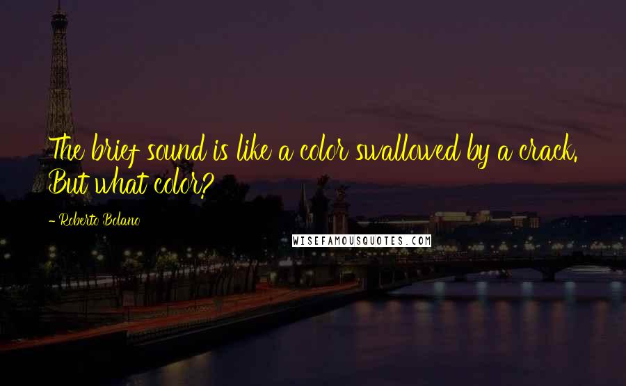 Roberto Bolano Quotes: The brief sound is like a color swallowed by a crack. But what color?