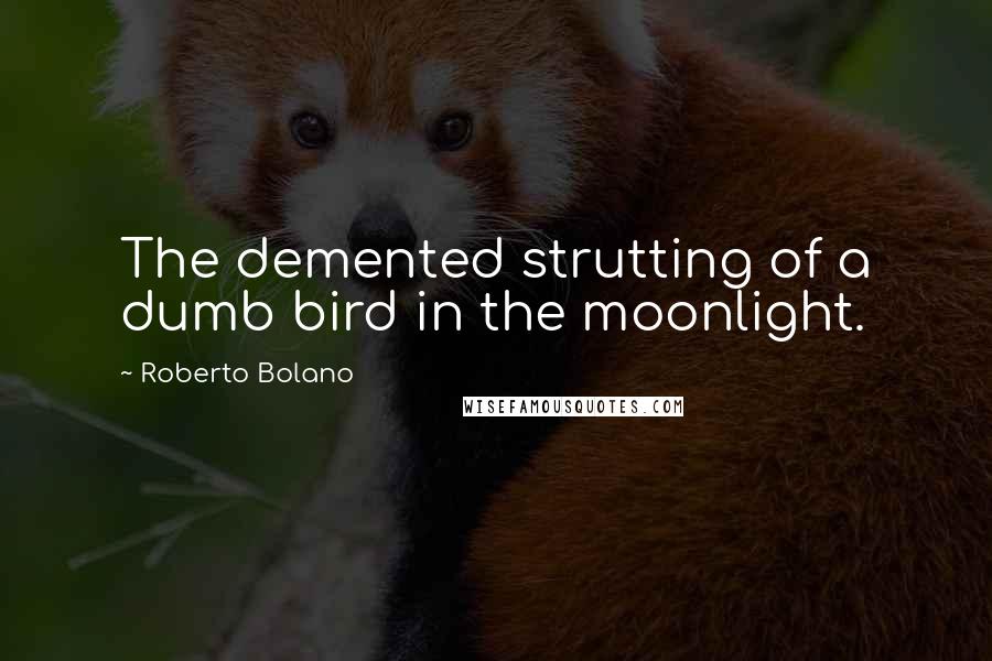 Roberto Bolano Quotes: The demented strutting of a dumb bird in the moonlight.