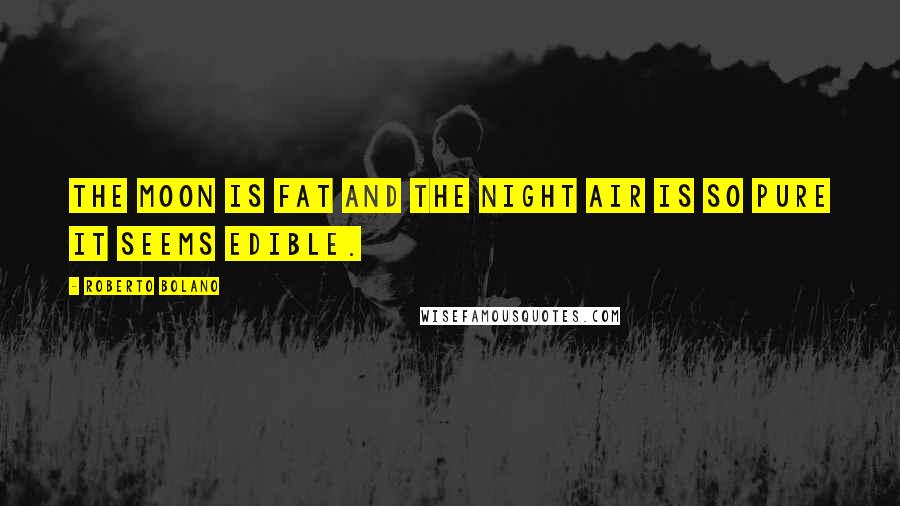 Roberto Bolano Quotes: The moon is fat and the night air is so pure it seems edible.