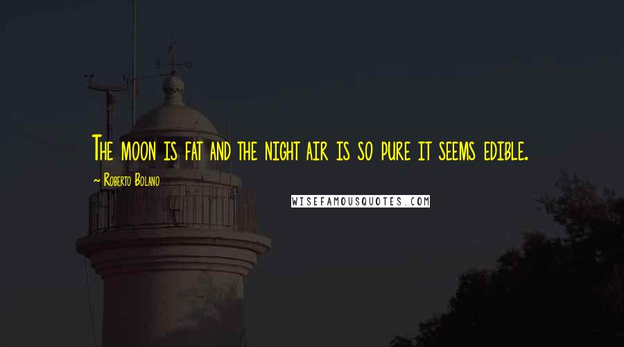 Roberto Bolano Quotes: The moon is fat and the night air is so pure it seems edible.