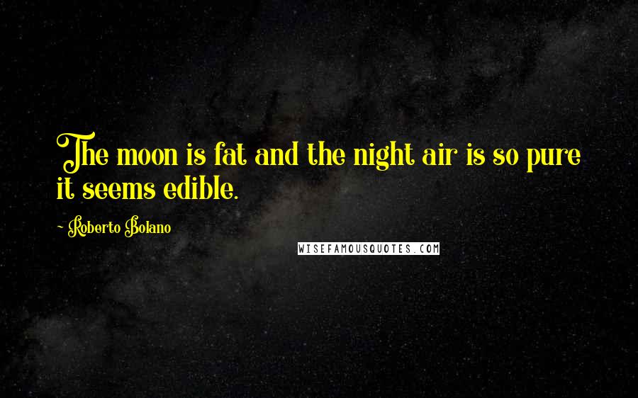 Roberto Bolano Quotes: The moon is fat and the night air is so pure it seems edible.