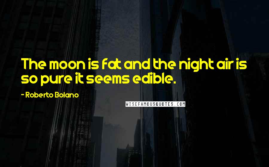 Roberto Bolano Quotes: The moon is fat and the night air is so pure it seems edible.