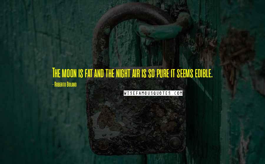 Roberto Bolano Quotes: The moon is fat and the night air is so pure it seems edible.