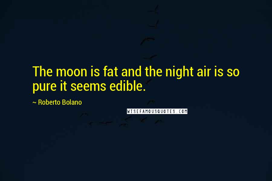 Roberto Bolano Quotes: The moon is fat and the night air is so pure it seems edible.