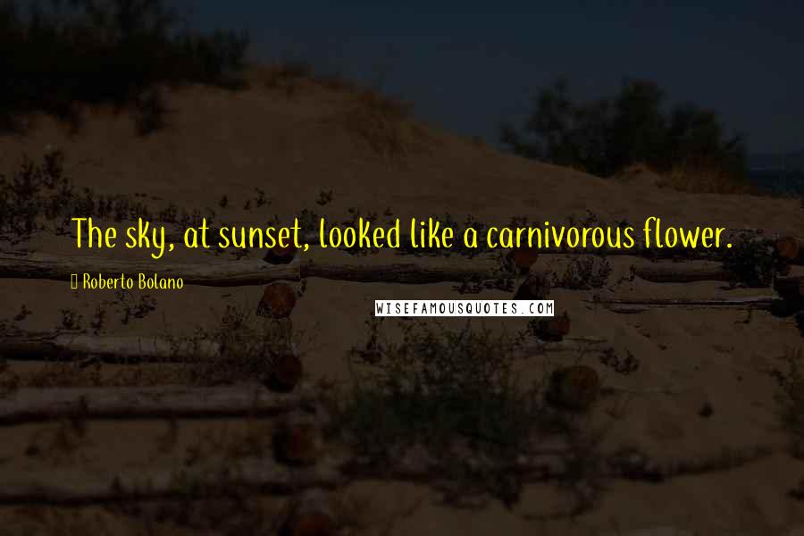 Roberto Bolano Quotes: The sky, at sunset, looked like a carnivorous flower.