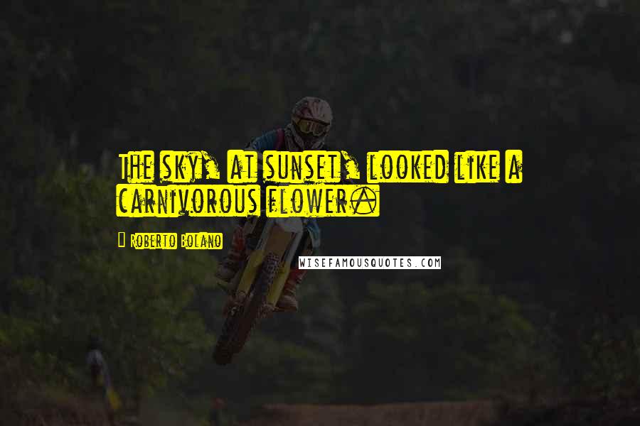 Roberto Bolano Quotes: The sky, at sunset, looked like a carnivorous flower.