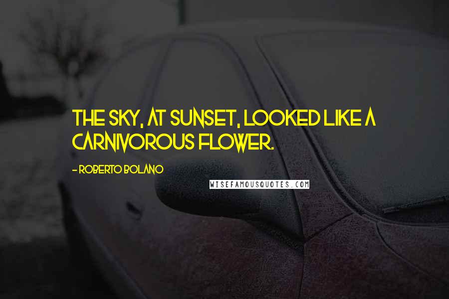 Roberto Bolano Quotes: The sky, at sunset, looked like a carnivorous flower.