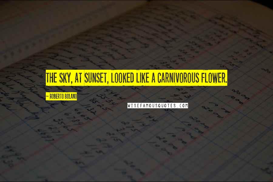 Roberto Bolano Quotes: The sky, at sunset, looked like a carnivorous flower.