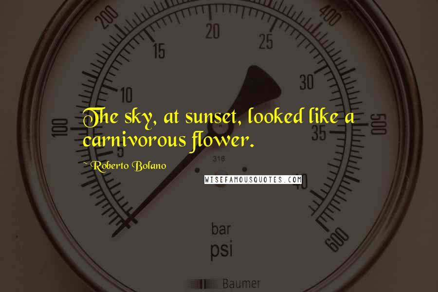 Roberto Bolano Quotes: The sky, at sunset, looked like a carnivorous flower.