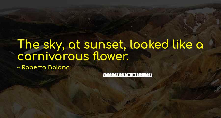 Roberto Bolano Quotes: The sky, at sunset, looked like a carnivorous flower.