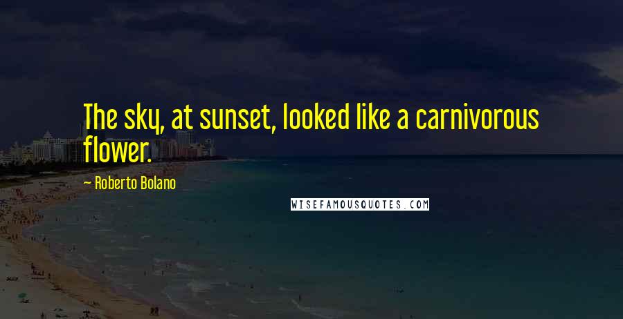 Roberto Bolano Quotes: The sky, at sunset, looked like a carnivorous flower.