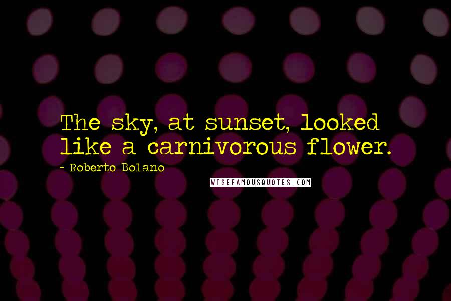 Roberto Bolano Quotes: The sky, at sunset, looked like a carnivorous flower.