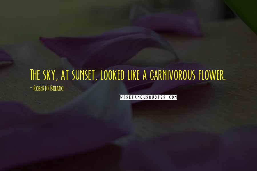 Roberto Bolano Quotes: The sky, at sunset, looked like a carnivorous flower.