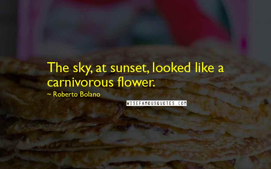 Roberto Bolano Quotes: The sky, at sunset, looked like a carnivorous flower.