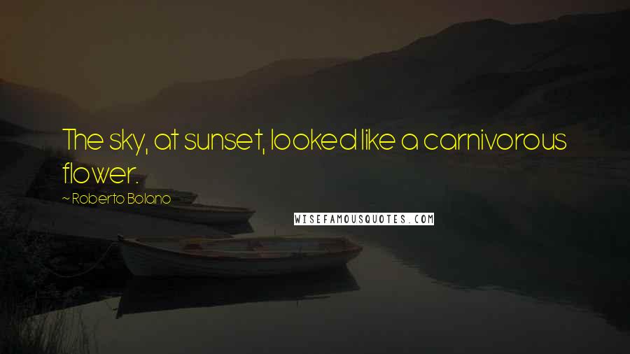 Roberto Bolano Quotes: The sky, at sunset, looked like a carnivorous flower.