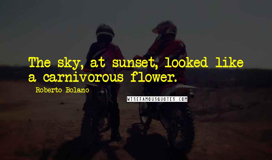 Roberto Bolano Quotes: The sky, at sunset, looked like a carnivorous flower.