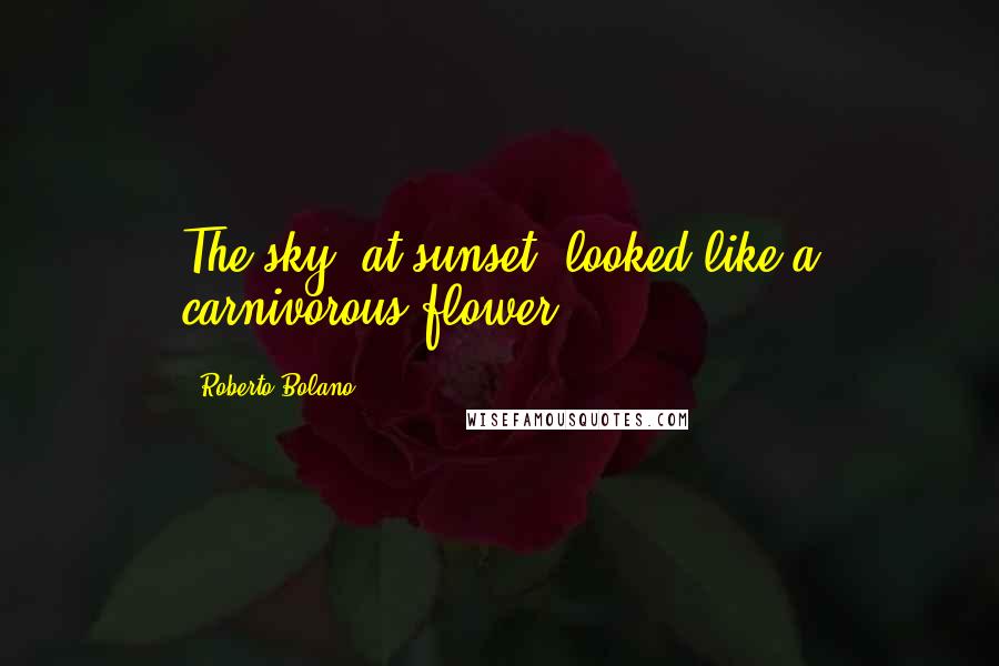 Roberto Bolano Quotes: The sky, at sunset, looked like a carnivorous flower.
