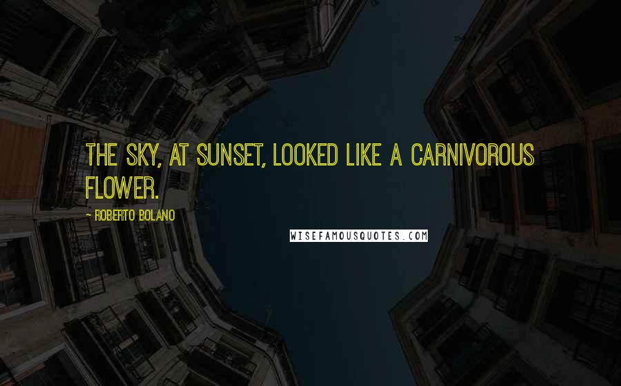Roberto Bolano Quotes: The sky, at sunset, looked like a carnivorous flower.