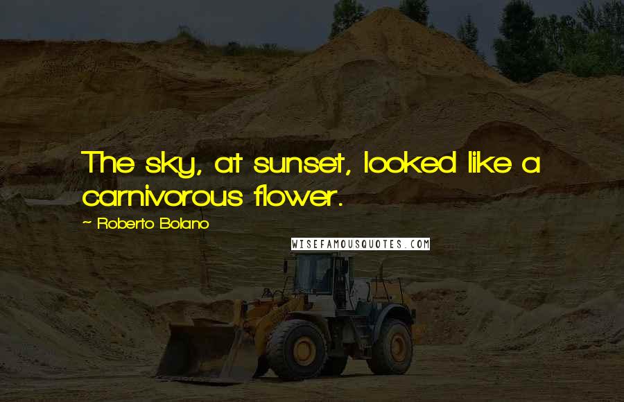 Roberto Bolano Quotes: The sky, at sunset, looked like a carnivorous flower.
