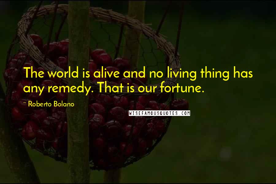 Roberto Bolano Quotes: The world is alive and no living thing has any remedy. That is our fortune.