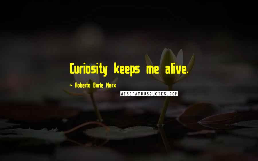 Roberto Burle Marx Quotes: Curiosity keeps me alive.