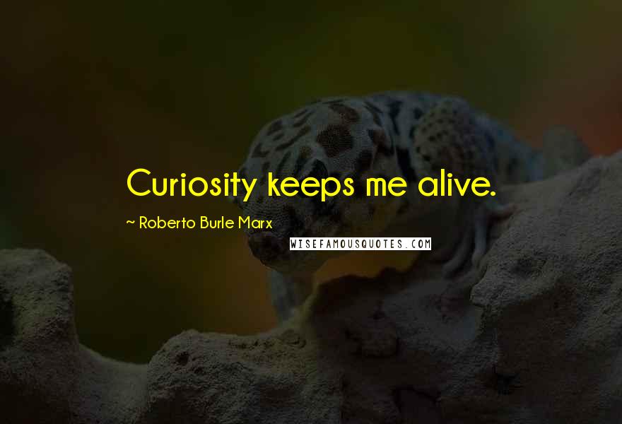 Roberto Burle Marx Quotes: Curiosity keeps me alive.