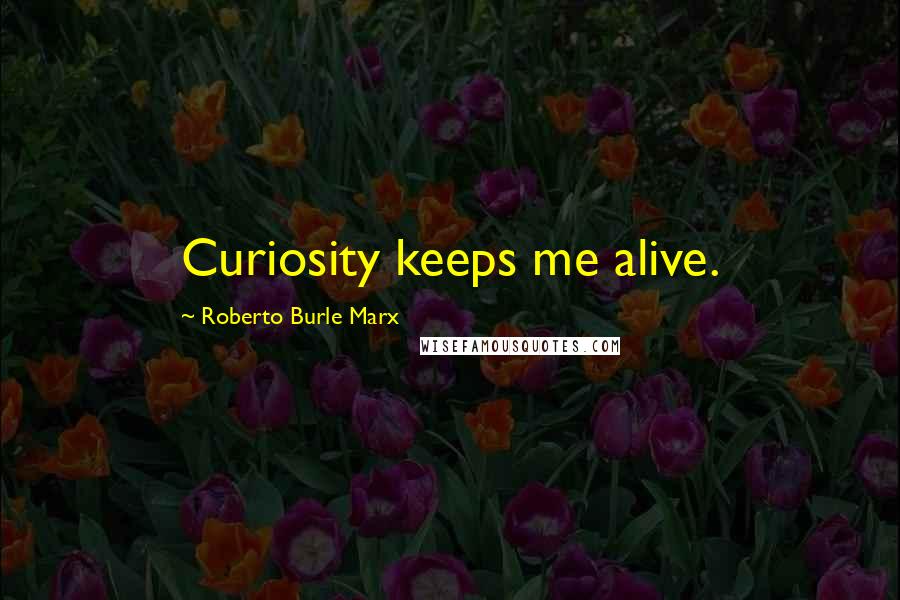 Roberto Burle Marx Quotes: Curiosity keeps me alive.