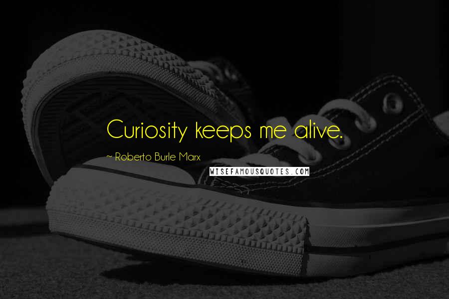 Roberto Burle Marx Quotes: Curiosity keeps me alive.
