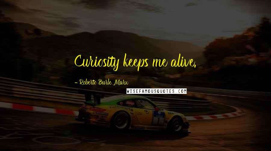 Roberto Burle Marx Quotes: Curiosity keeps me alive.