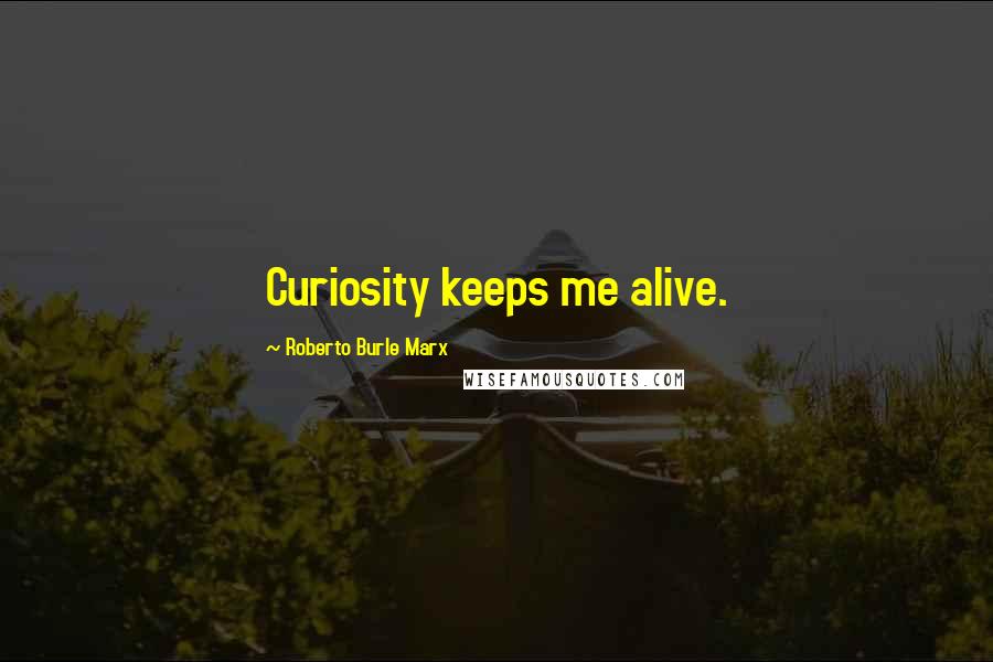 Roberto Burle Marx Quotes: Curiosity keeps me alive.