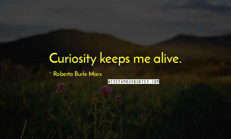 Roberto Burle Marx Quotes: Curiosity keeps me alive.