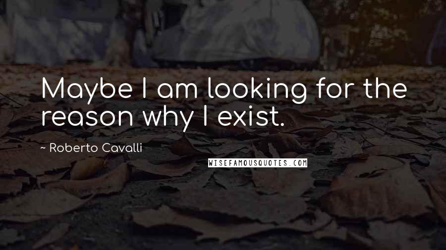 Roberto Cavalli Quotes: Maybe I am looking for the reason why I exist.