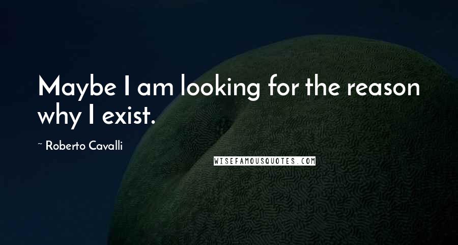 Roberto Cavalli Quotes: Maybe I am looking for the reason why I exist.