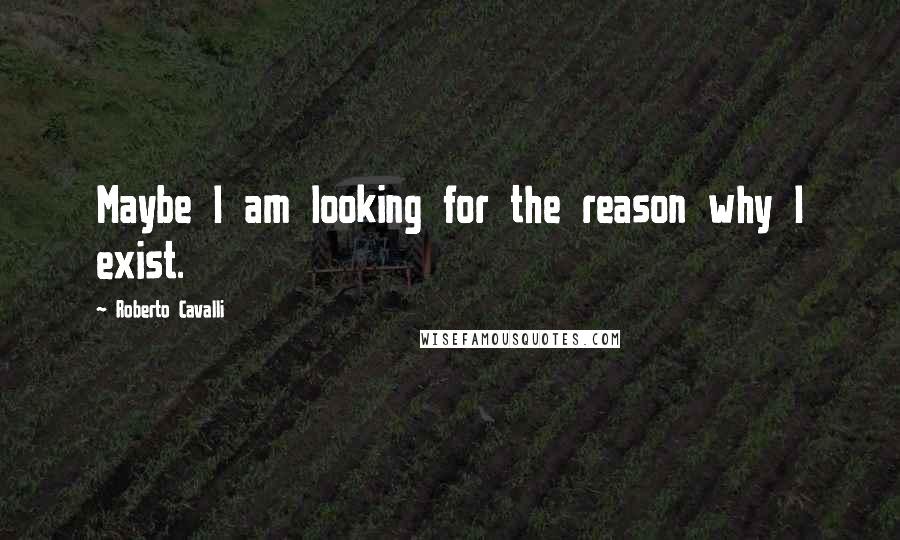 Roberto Cavalli Quotes: Maybe I am looking for the reason why I exist.