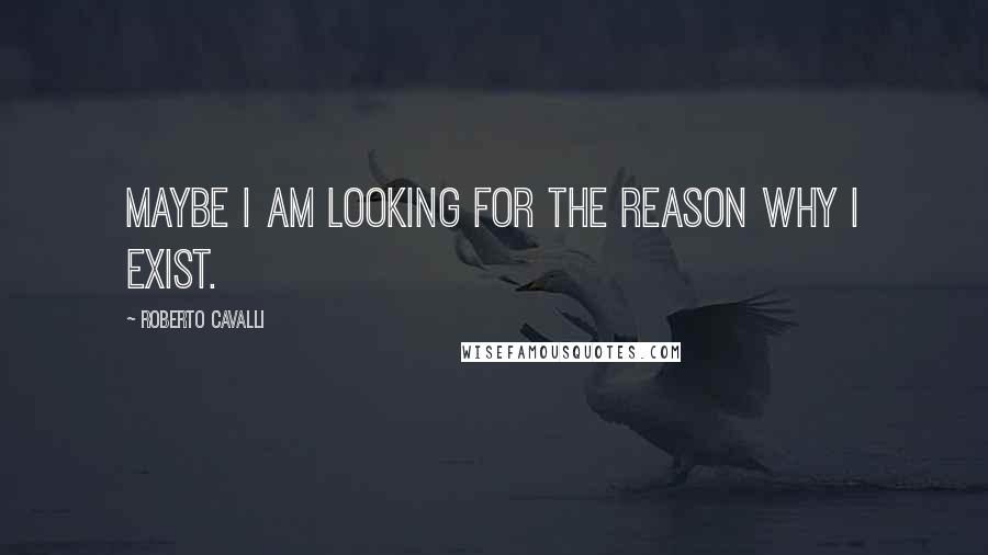 Roberto Cavalli Quotes: Maybe I am looking for the reason why I exist.