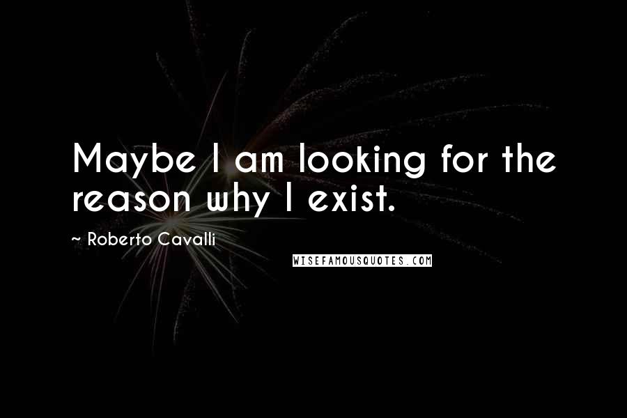 Roberto Cavalli Quotes: Maybe I am looking for the reason why I exist.