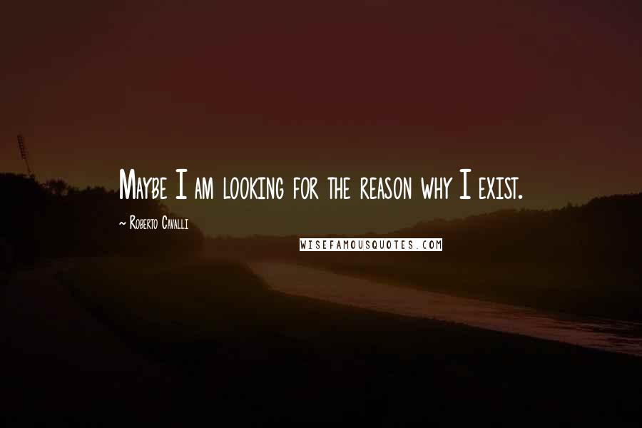 Roberto Cavalli Quotes: Maybe I am looking for the reason why I exist.