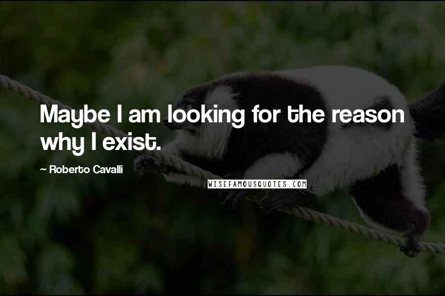 Roberto Cavalli Quotes: Maybe I am looking for the reason why I exist.