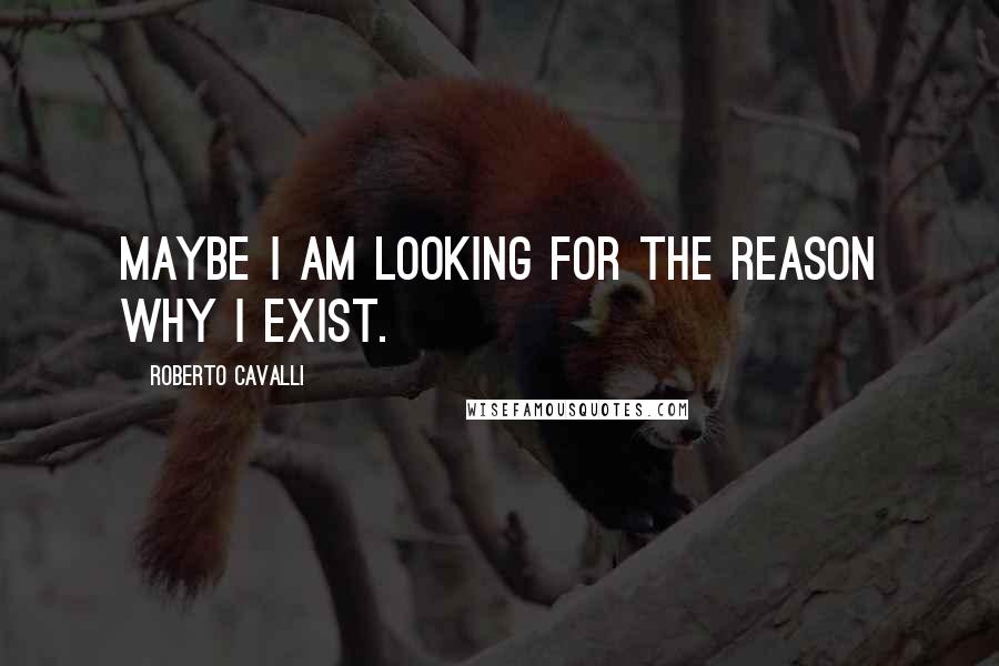 Roberto Cavalli Quotes: Maybe I am looking for the reason why I exist.