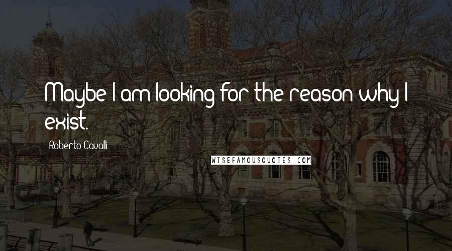 Roberto Cavalli Quotes: Maybe I am looking for the reason why I exist.