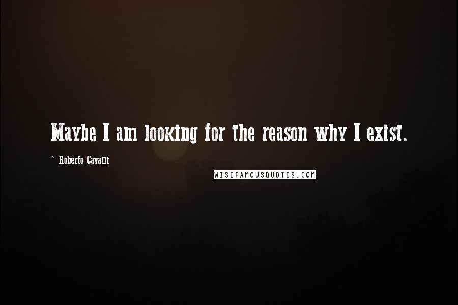 Roberto Cavalli Quotes: Maybe I am looking for the reason why I exist.