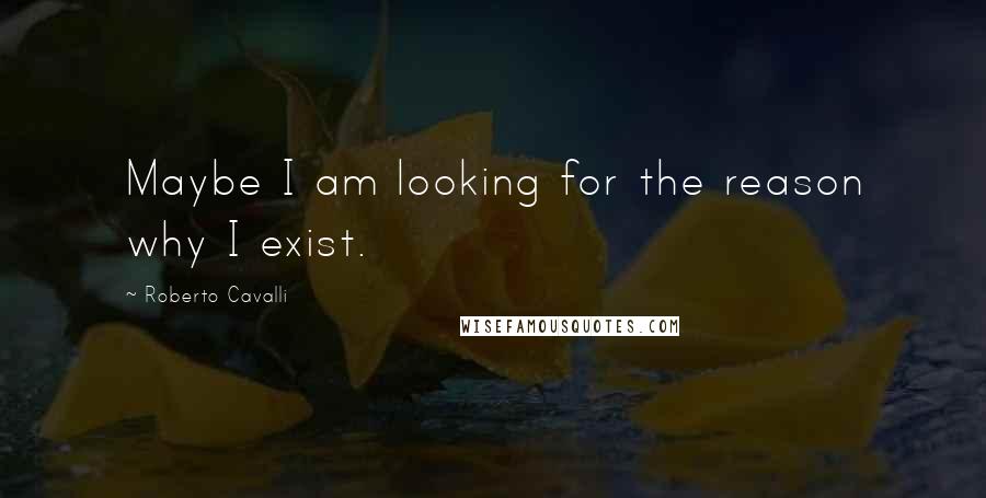 Roberto Cavalli Quotes: Maybe I am looking for the reason why I exist.