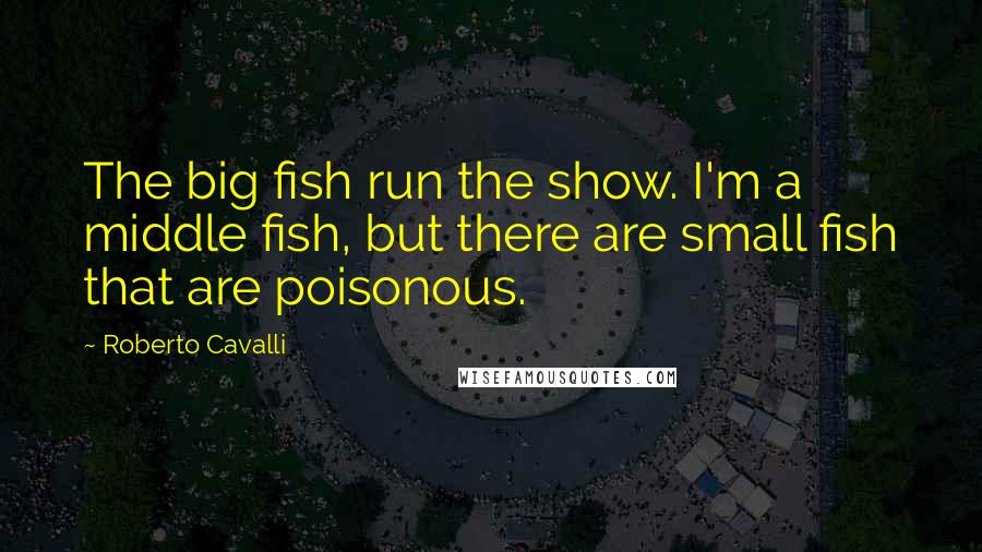 Roberto Cavalli Quotes: The big fish run the show. I'm a middle fish, but there are small fish that are poisonous.