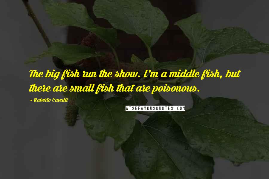 Roberto Cavalli Quotes: The big fish run the show. I'm a middle fish, but there are small fish that are poisonous.