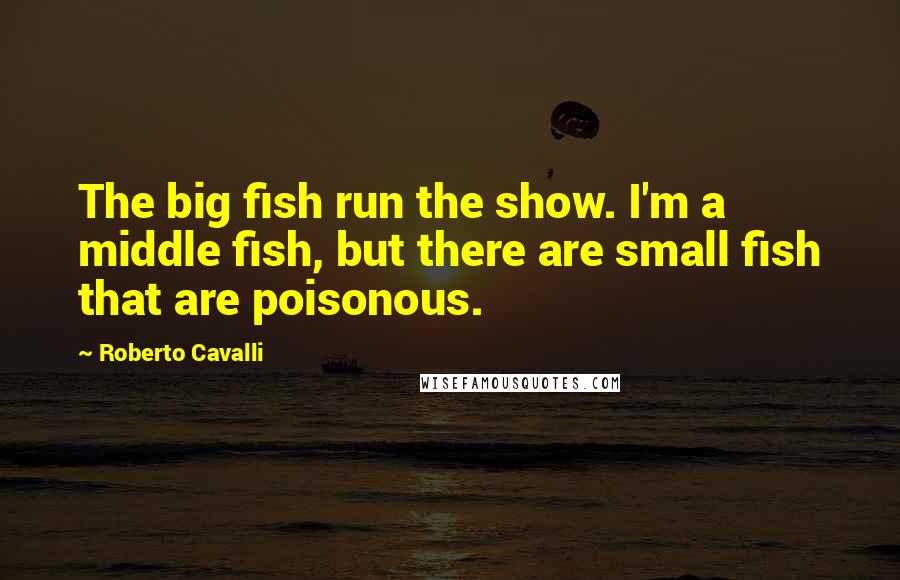 Roberto Cavalli Quotes: The big fish run the show. I'm a middle fish, but there are small fish that are poisonous.