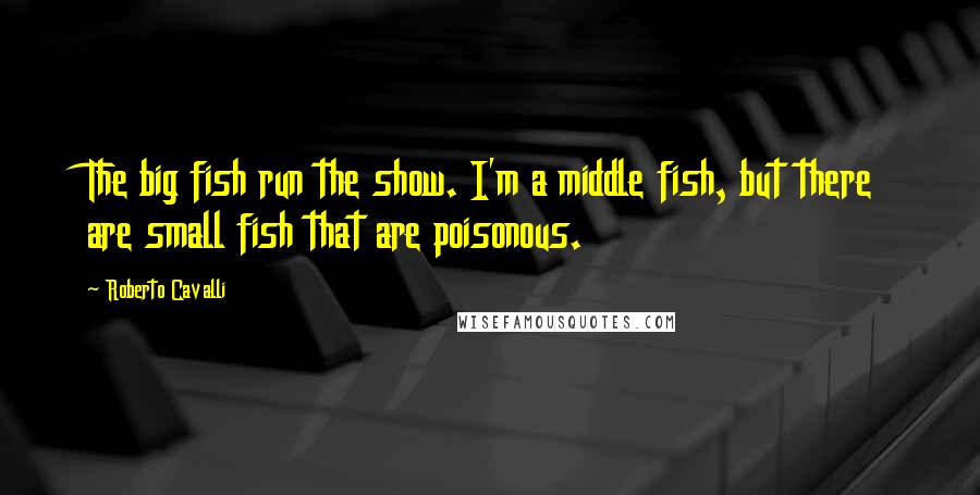 Roberto Cavalli Quotes: The big fish run the show. I'm a middle fish, but there are small fish that are poisonous.