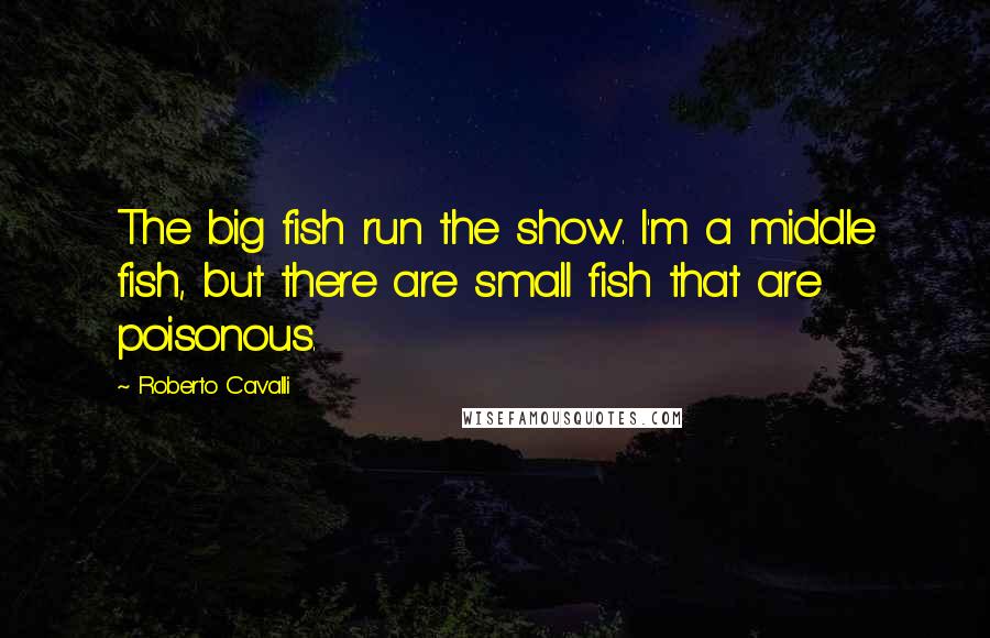 Roberto Cavalli Quotes: The big fish run the show. I'm a middle fish, but there are small fish that are poisonous.