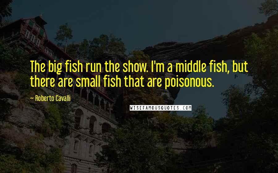 Roberto Cavalli Quotes: The big fish run the show. I'm a middle fish, but there are small fish that are poisonous.