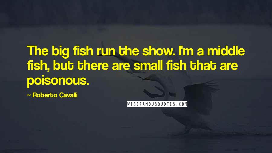 Roberto Cavalli Quotes: The big fish run the show. I'm a middle fish, but there are small fish that are poisonous.