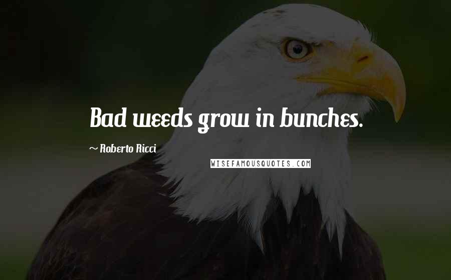 Roberto Ricci Quotes: Bad weeds grow in bunches.